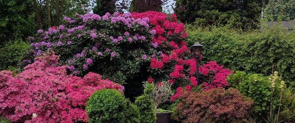 Veranstaltung: GehZeit: Besuch und Führung im Botanischen Garten Rombergpark - 20. Mai 2026 in Torhaus am Haupteingang