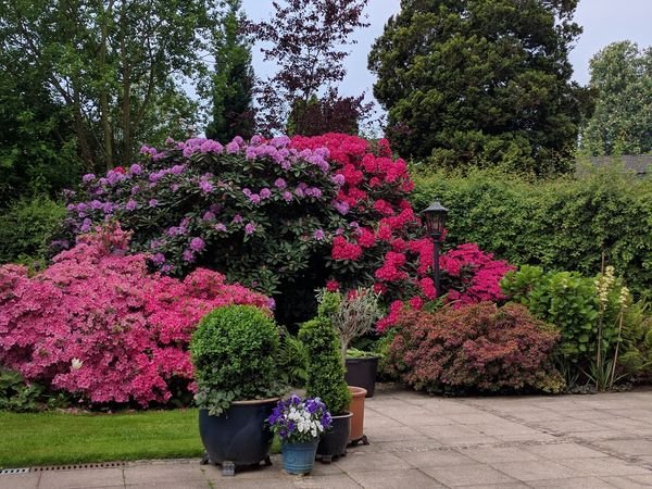 GehZeit: Besuch und Führung im Botanischen Garten Rombergpark