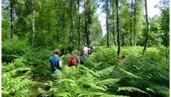 GehZeit – Führung durch „das schönste Stück Haard“