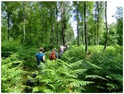 GehZeit – Führung durch „das schönste Stück Haard“